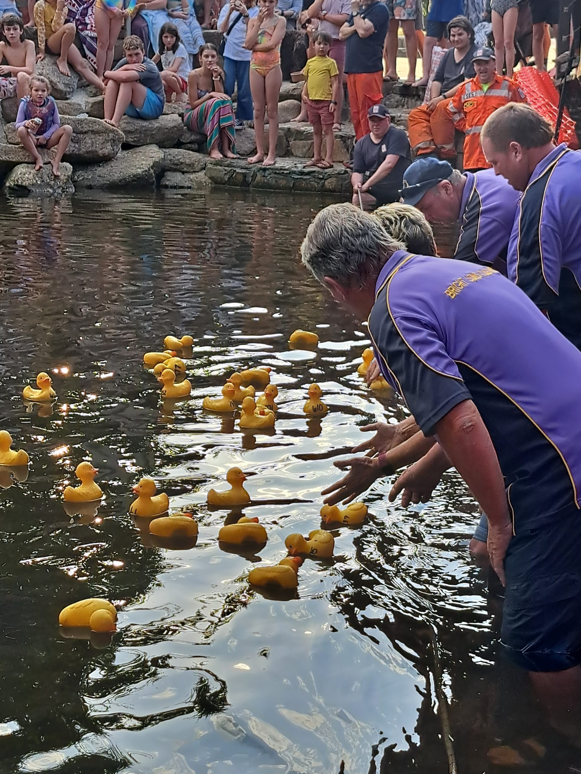 Great Aussie Duck Race in Bright - Lions District 201 V6